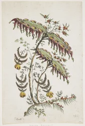 Blumentafel. Chinoiserie.